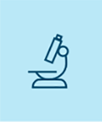 Microscope