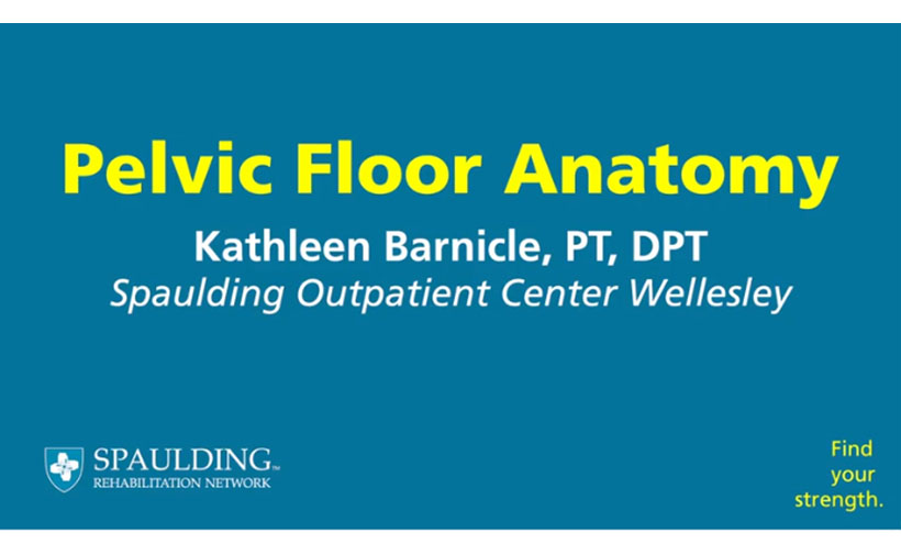 Video: Pelvic Floor Anatomy